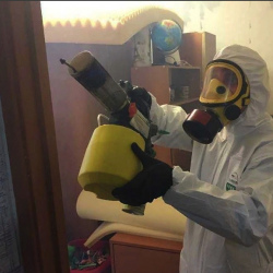 Уничтожение клопов в квартире. Волхов